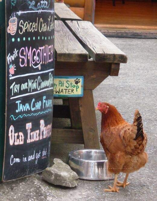 Coffee on the Rocks - Chimney Rock, NC